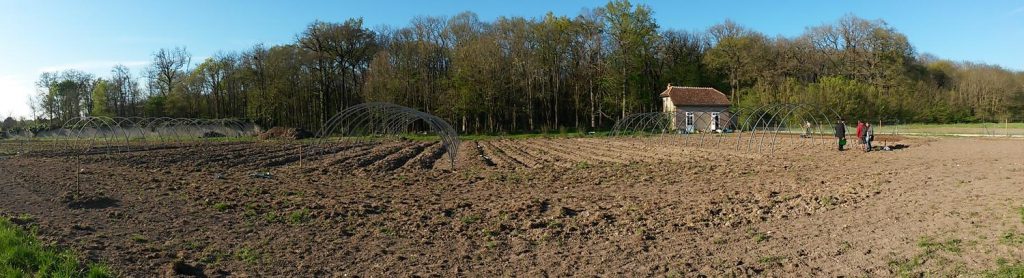 et voilà le travail, 60 buttes en deux jours