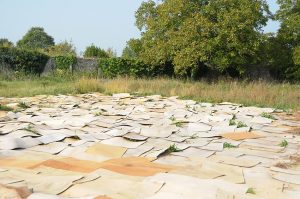 Plaques d'isorel disposées à l'emplacement du futur mandala