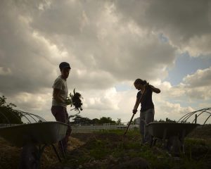 Projet "Fermes d'avenir", Montlouis-sur-Loire, le 27 mai 2014.