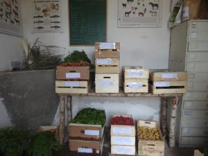 Stock recoltes maison de lane bis