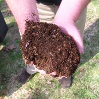 Le compost enrichit le sol en humus et en éléments minéraux variés.