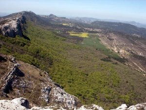 Une hêtraie en Provence: dans la forêt de la Sainte Baume, grâce au microclimat frais de l'ubac (flanc nord des montagnes) une forêt de hêtres se maintient dans une région dont le climat général ne lui conviendrait pas du tout.