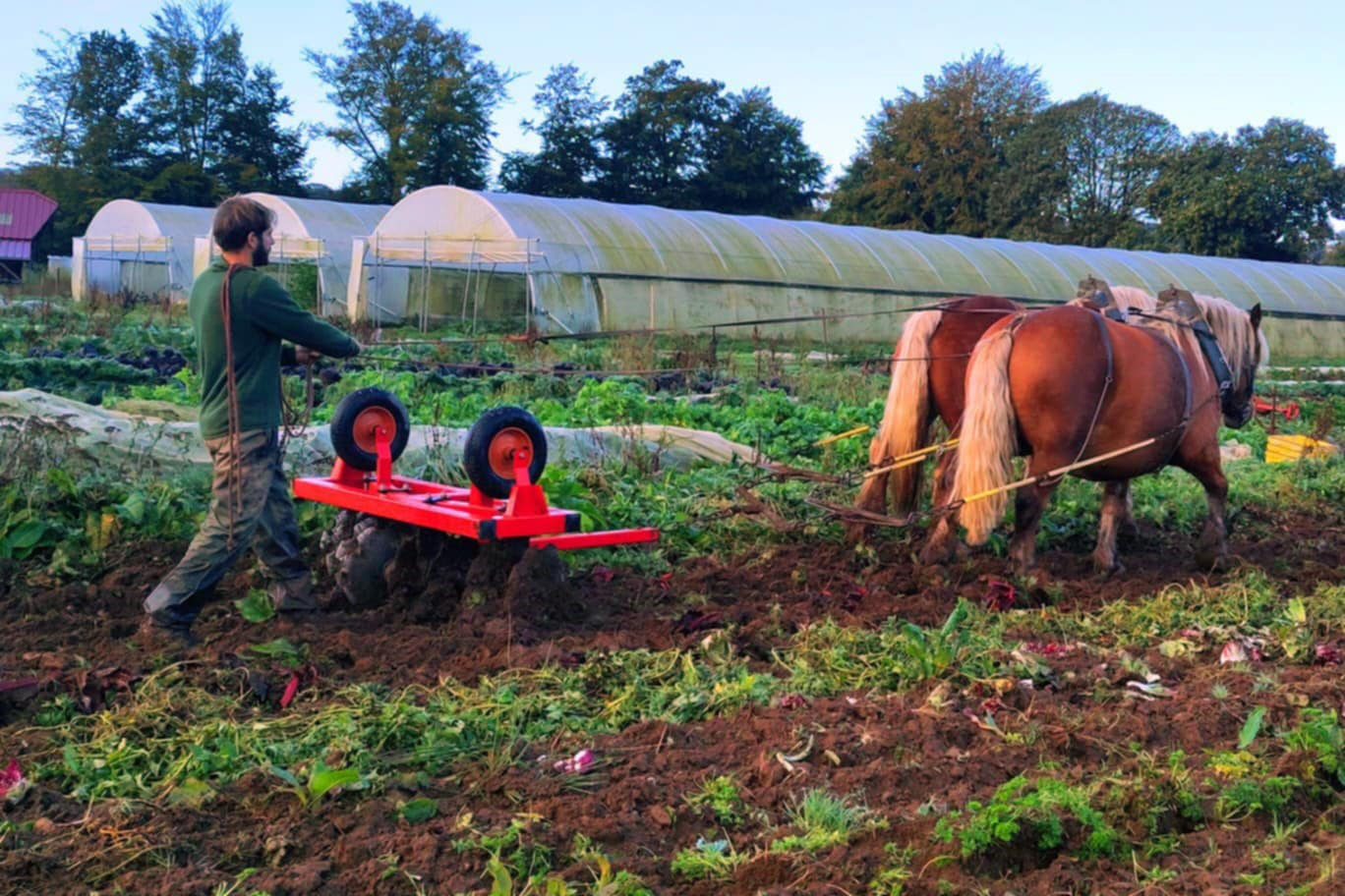 Ferme des Cèdres 2