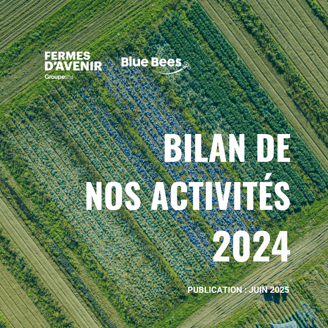 Bilan d'activité 204