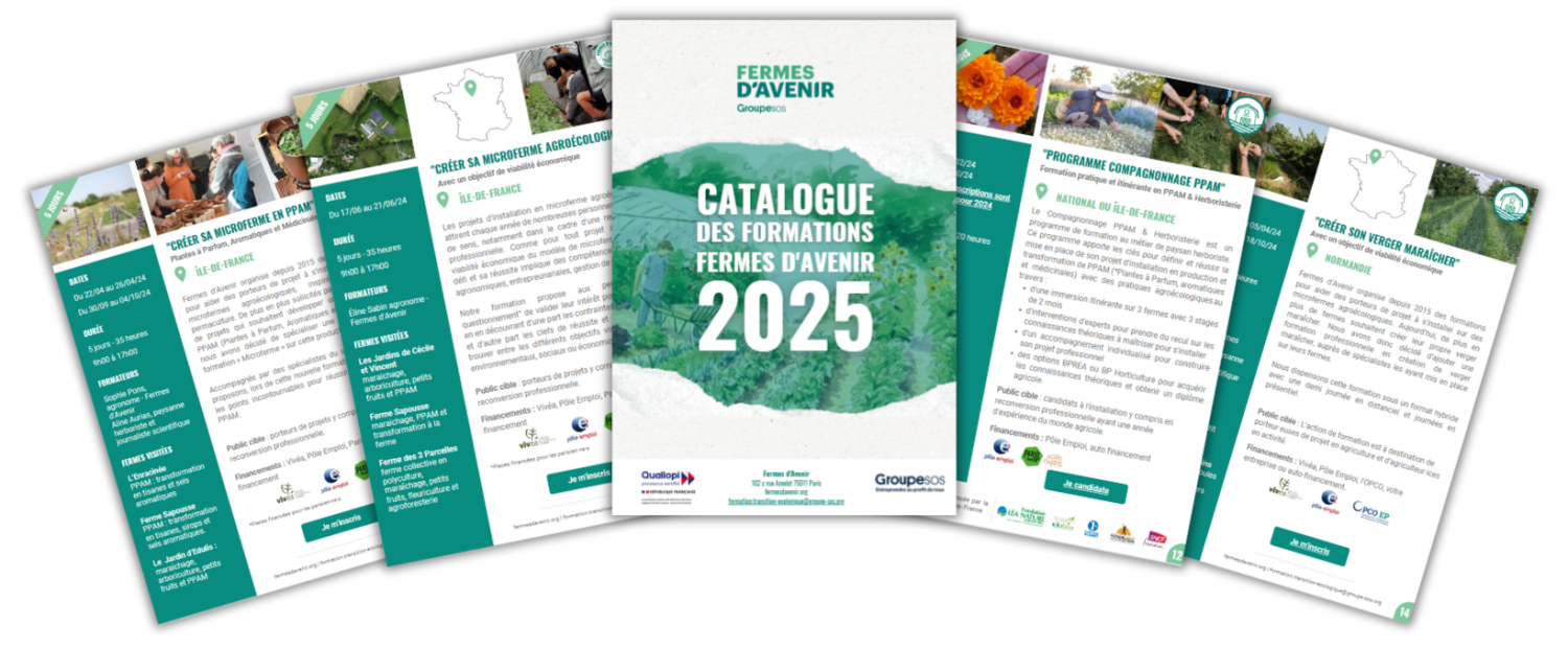 Vignette catalogue des formations 2025